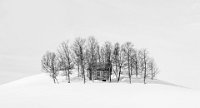 540 - HUT IN THE TREES - DUNSDON RACHEL - united kingdom <div : Samsung 1, jpgs, norway